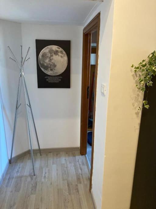 Cassia Nerone Appartamento Tranquillo E Silenzioso ローマ エクステリア 写真